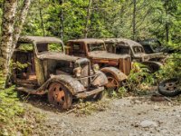 Forest Parking Lot